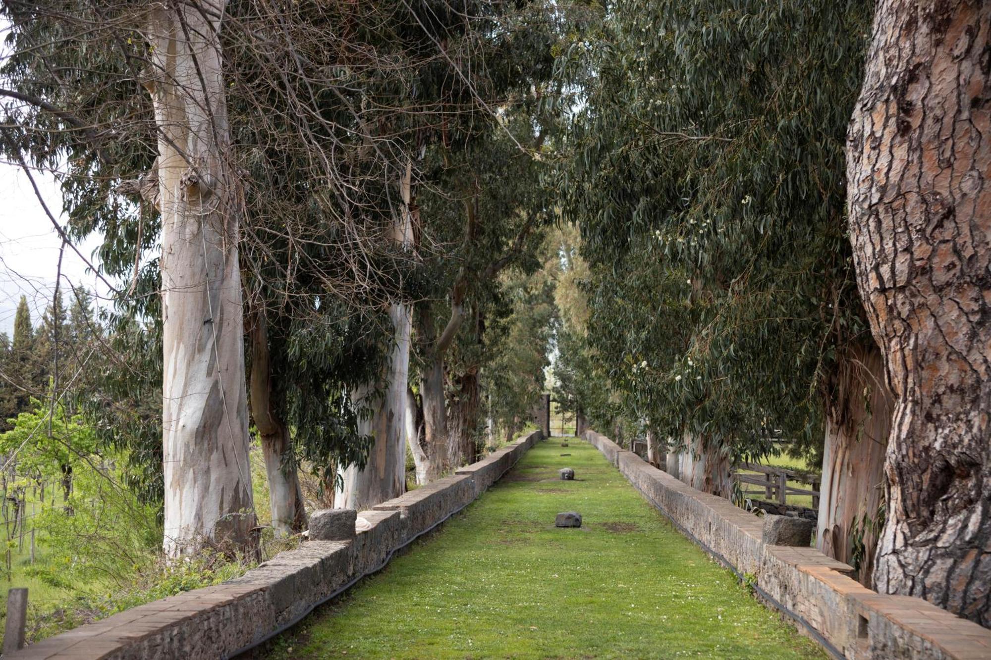 Parco Statella Montelaguardia Exterior foto