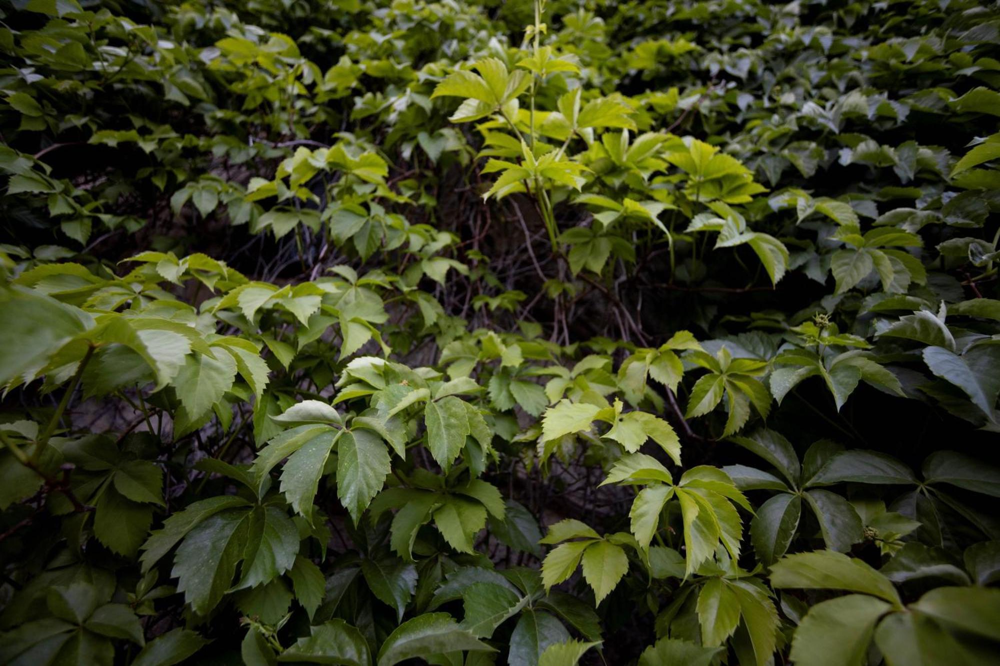 Parco Statella Montelaguardia Exterior foto