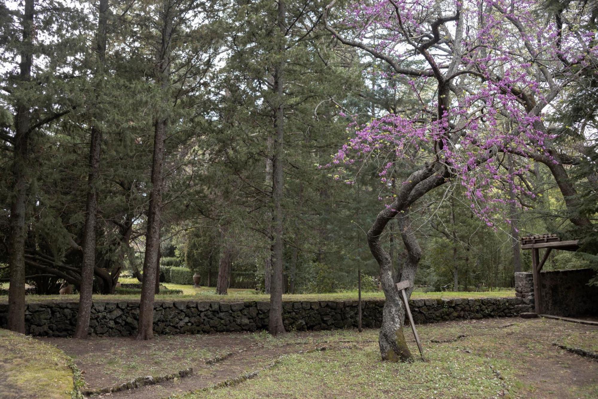 Parco Statella Montelaguardia Exterior foto