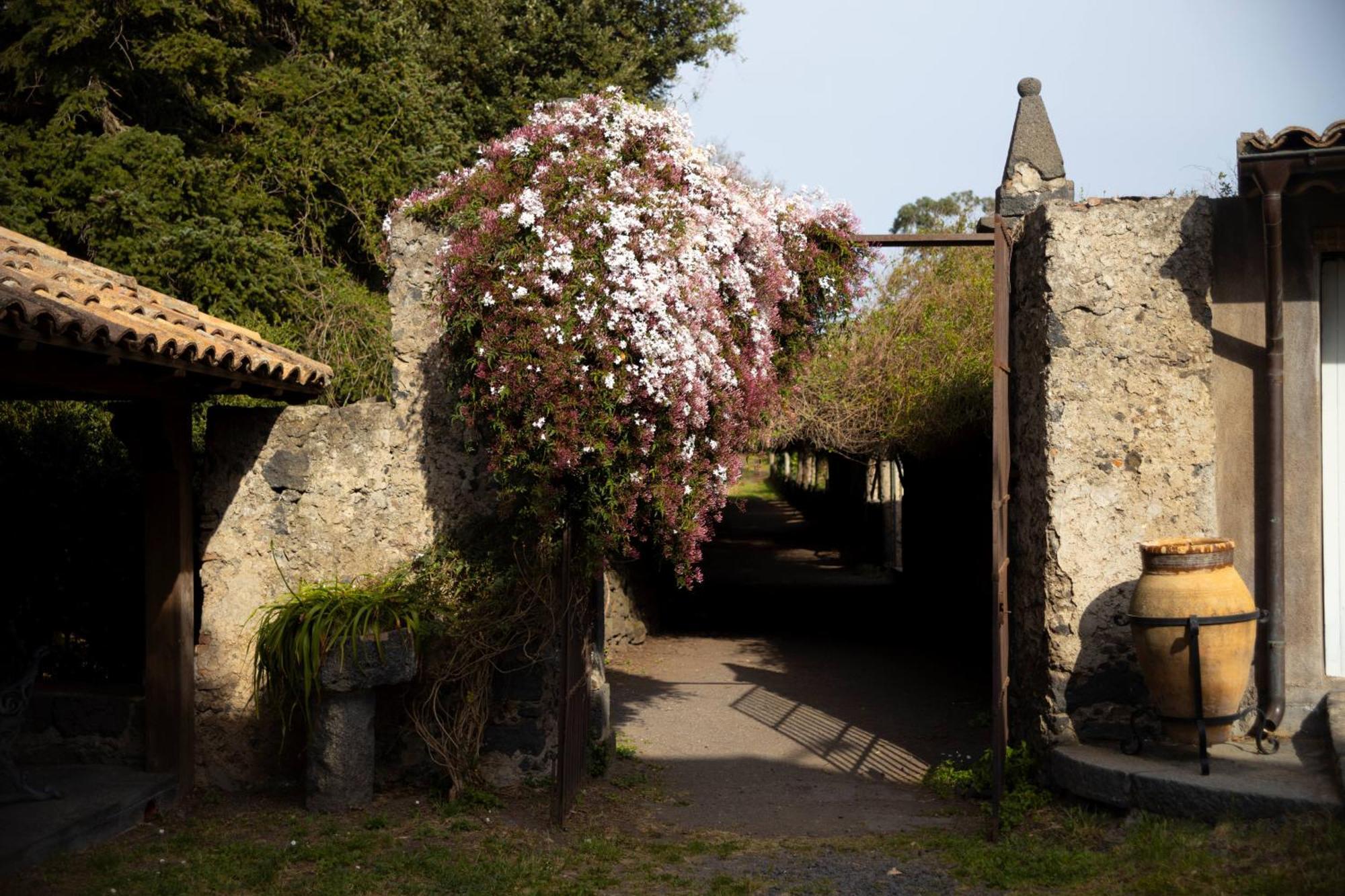 Parco Statella Montelaguardia Exterior foto